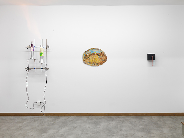 Installation shot, image Image