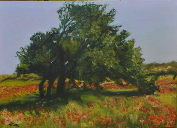 Maria Papa, The Lonely Tree Image