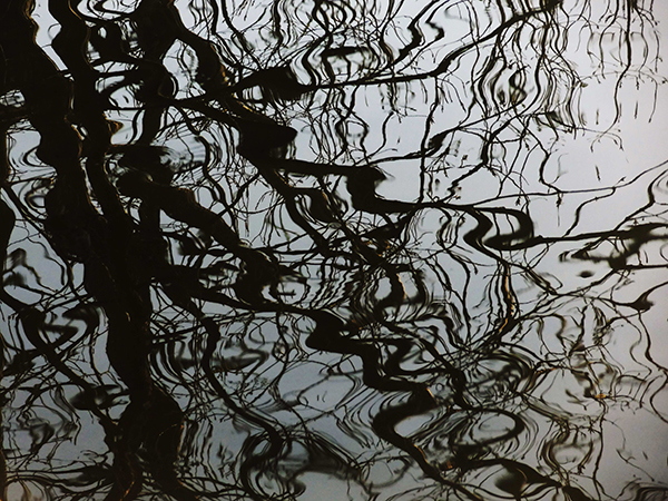 Γιούλα Παπαδοπούλου - I found myself within a forest 01 Image