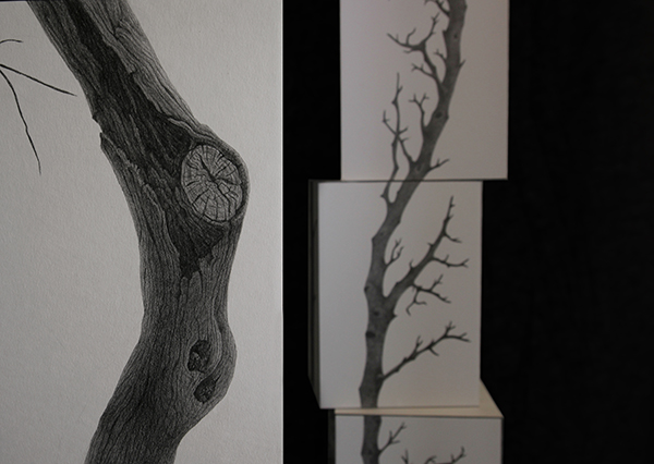 Όλγα Παπαδοπούλου - (I am) the tree and (I am) the forest 02 Image