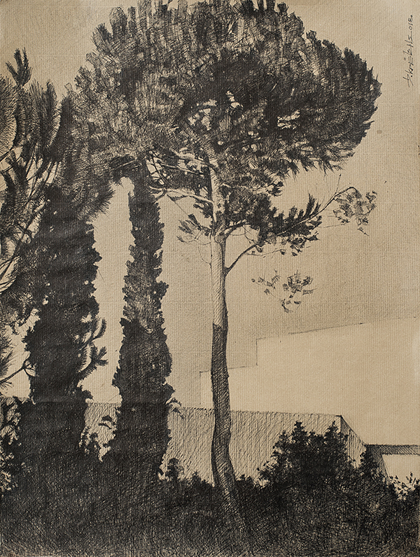 DIMITRIS KRETSIS ''κουκουναριές και κυπαρίσσια'' σινική μελάνι σε χρωματιστό χαρτί 40Χ30 cm 2018 Image