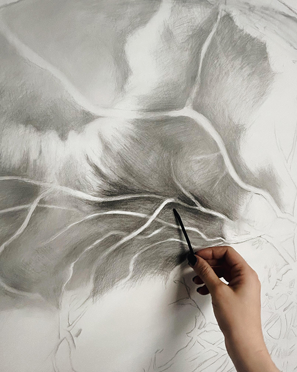 fovea, in progress 5 Image