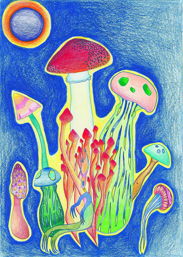 That eclipse night, bright fungi popped out of the ground and the sound of the Leaf Creature came to my ears Image
