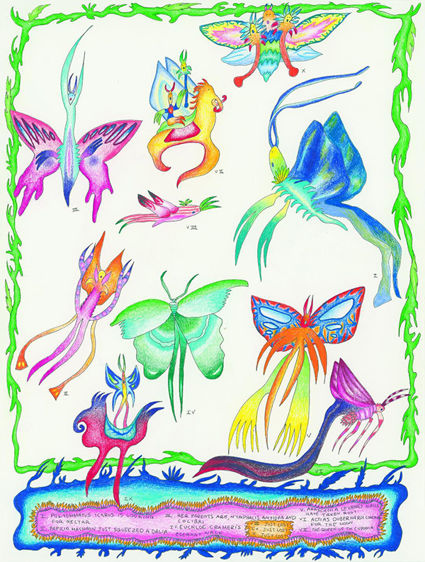 Species of Butterfly Fairies Image