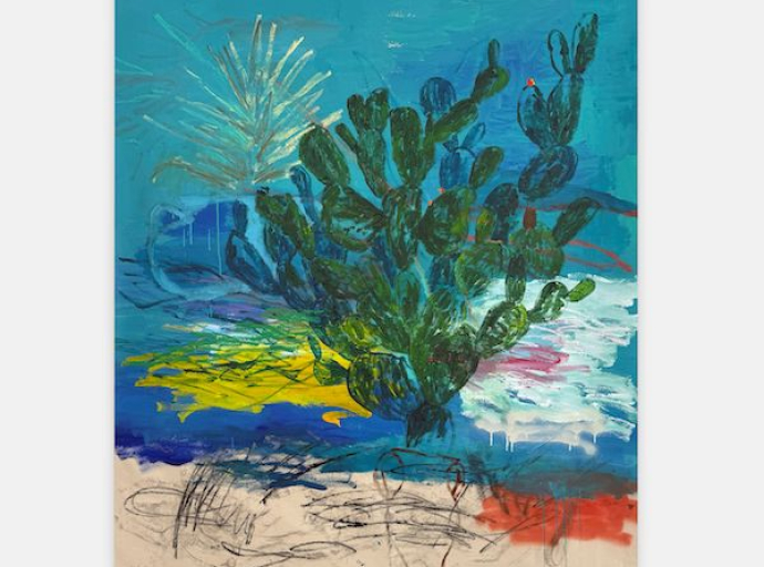 Zoumboulakis Galleries : " Dreaming was not enough " Douglas Knesse,  Ατομική έκθεση |